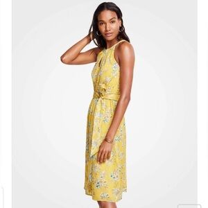 Ann Taylor Tropical Toile Halter Dress